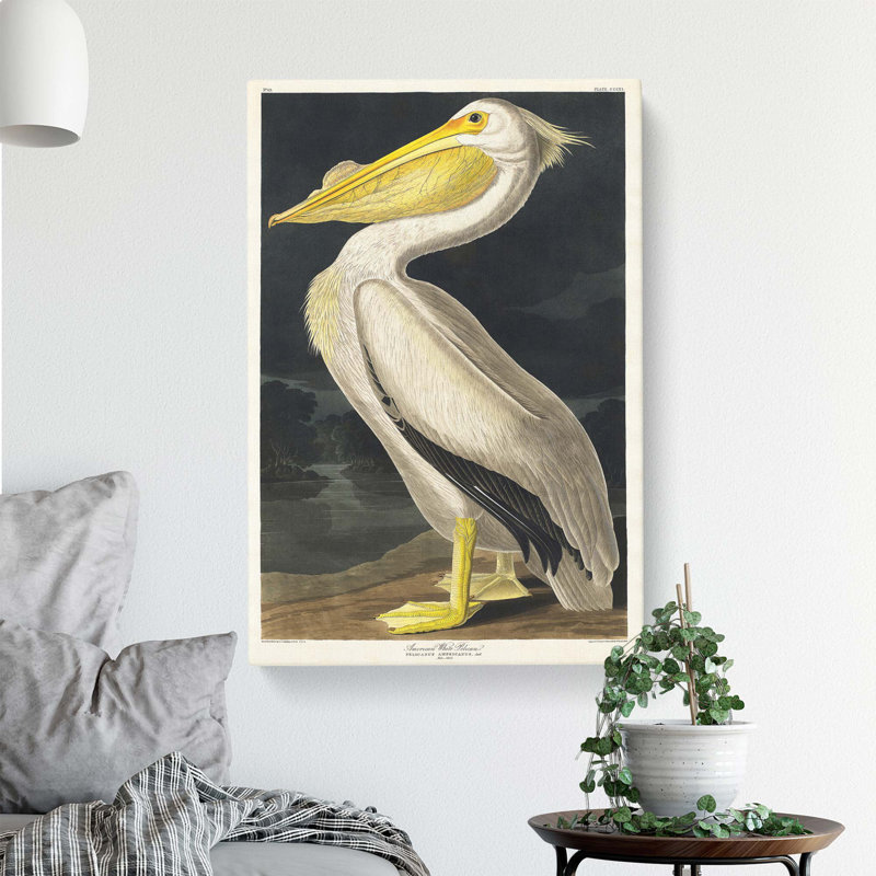 American White Pelican - Wrapped Canvas Painting, 61 cm H x 40.6 cm W