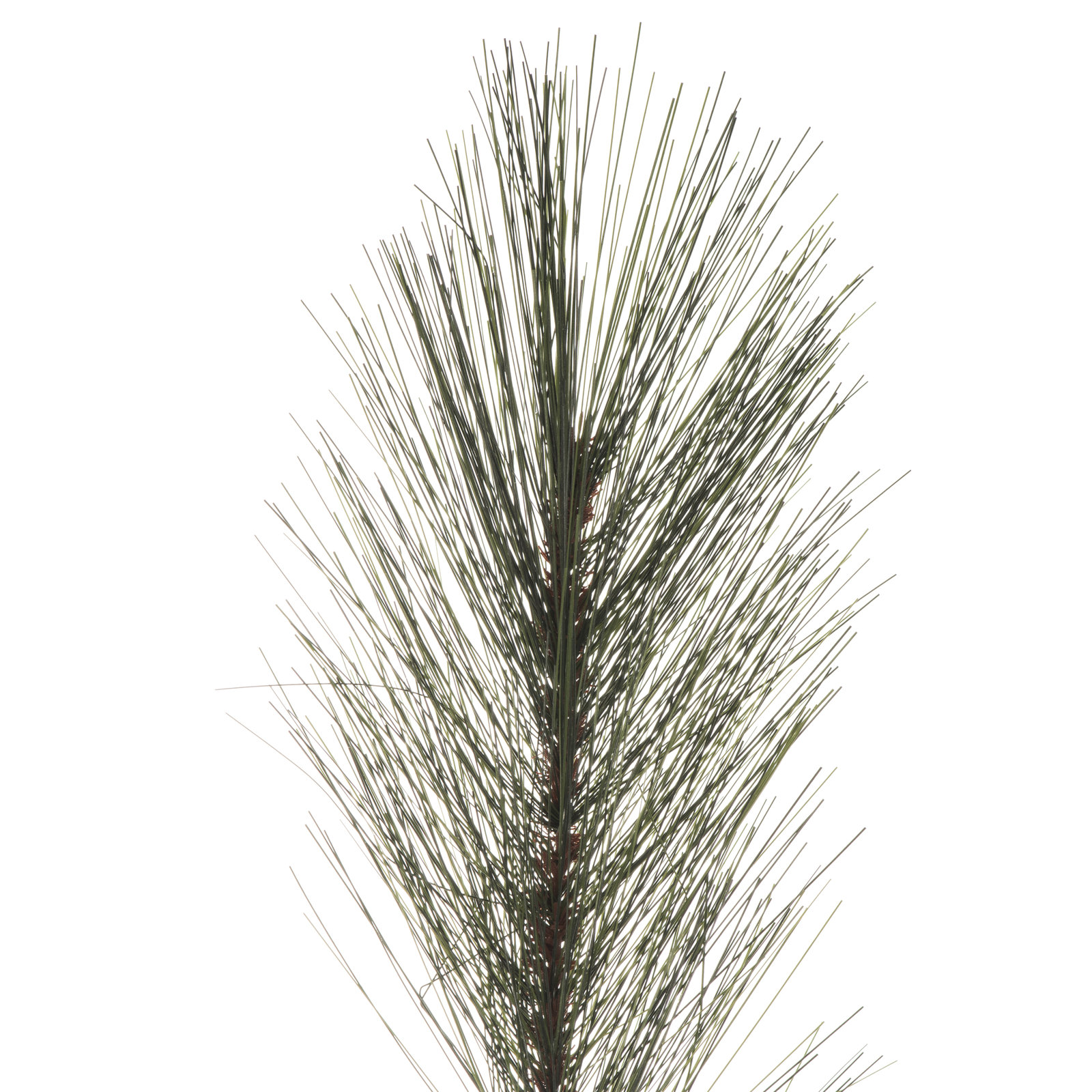 Vickerman Pine Floral Stems