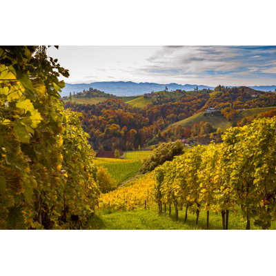 Styrian Vineyard 1 Piece Wrapped Canvas Wall Art