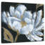Floraison de minuit-109357942