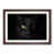 Walnut Framed selected