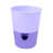 Light Violet/Dark Violet