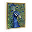 "Bold Peacock Feathers", art mural encadré sur toile flottante par Yvette St. Amant-458862880-466022770