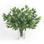Ficus artificiel, tige, plante, verdure, feuillage, branche