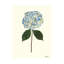 Pressed Hydrangea Set by Sandy Whitaker-259530003-259529996