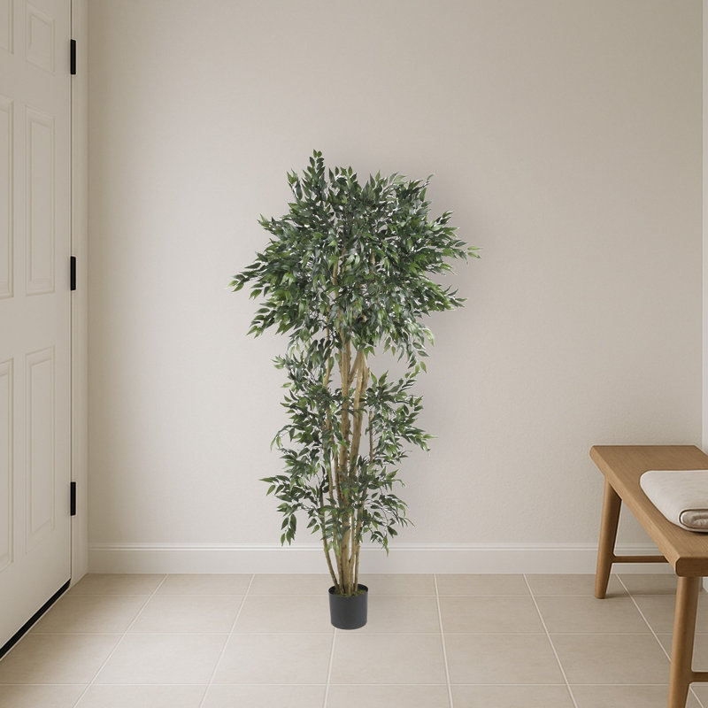 Green Ash Silk Tree