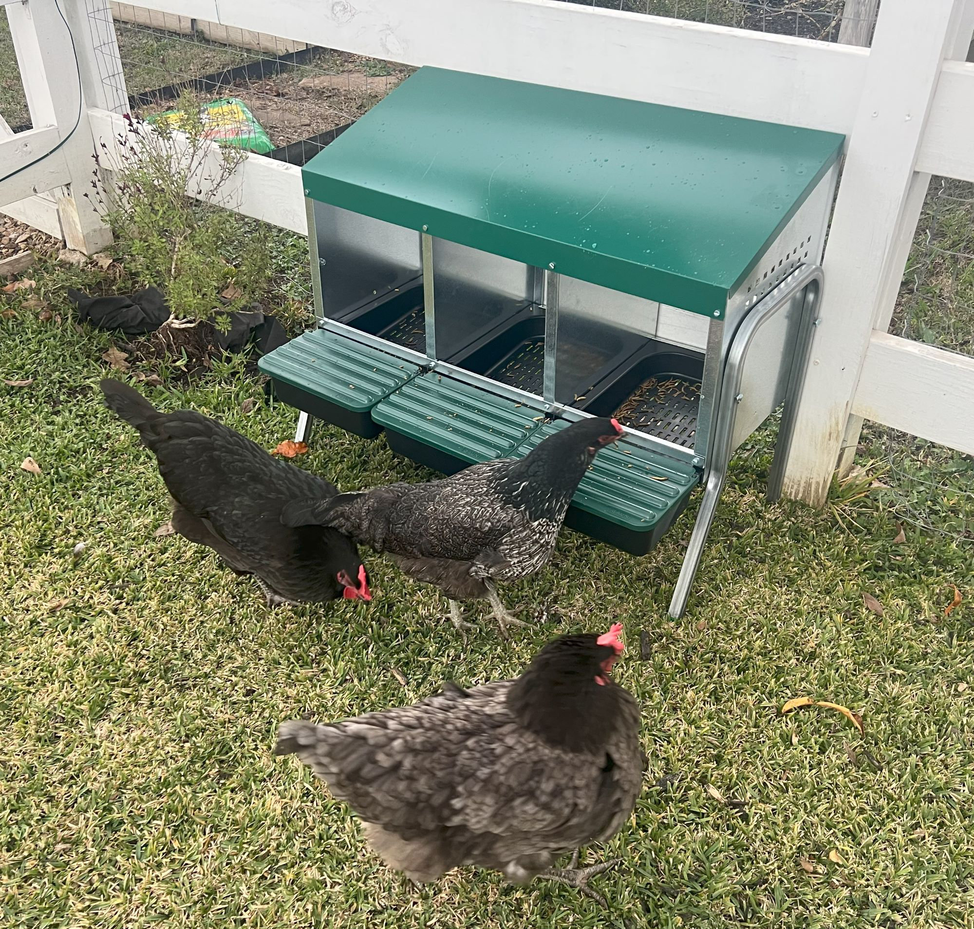 Zylina Nesting Box With Legs - 3 Bays | Wayfair