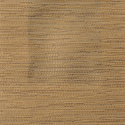 Tissu Surat