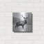«Proud Deer» par PhotoINC Studio-404594449