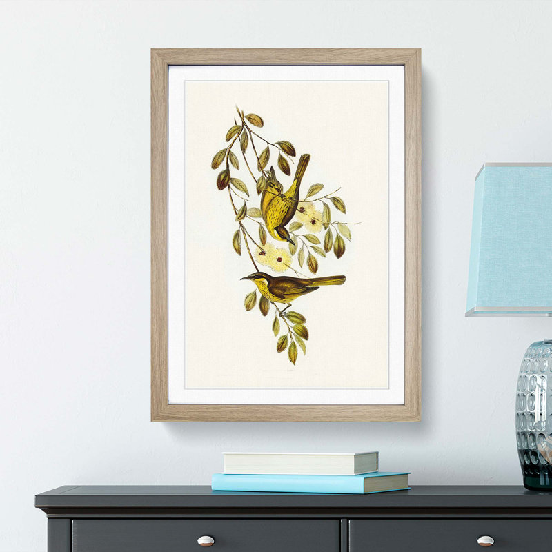 Varied Honeyeater Birds by Elizabeth Gould - Picture Frame Painting Print, 27cm H x 36cm W x 2cm D, Oak Framed