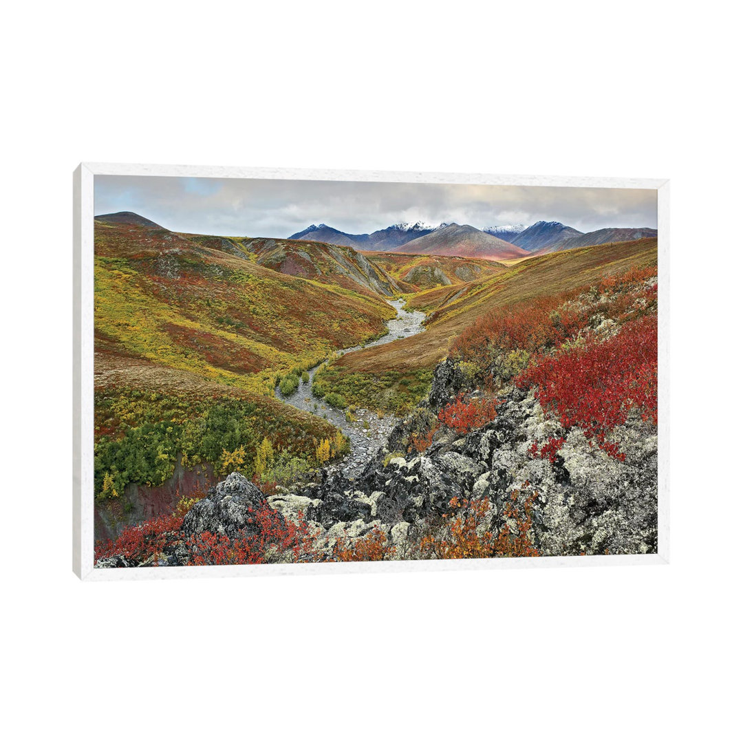 River Flowing Through Tundra, Ogilvie Mountains, Tombstone Territorial Park, Yukon, Canada von Tim Fitzharris - Gallery-...