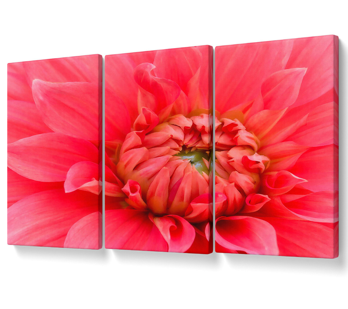Ebern Designs Delicate Pink Petal Head - 3 Piece Wrapped Canvas Graphic ...