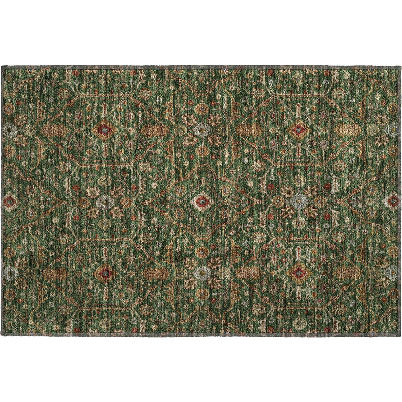 Premium Machine Washable Ducote AMF1130 Global Rug, Rectangle 1'8" x 2'6"