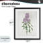 «Lilac Blossoms Blooms», reproduction encadrée sous verre, conception de Kim Allen-366814589-366814586