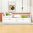 Dzeisonas Twin Size Wooden Daybed with Trundle and Two Storage Drawers-1419422102