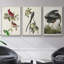 Pl 121 Harfang des neiges 3 pièces-97711762-97711757