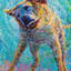Iris Scott - reproduction sur toile-18757216-74386261-74386266