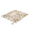 Concha 10,6 po X 11 po Carreau de mosaïque en nacre blanche polie et coquille beige (paquet de 16,19 pieds carrés / boîte) - paquet de 20