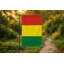 Drapeau de la Bolivie - drapeau extérieur-909669845