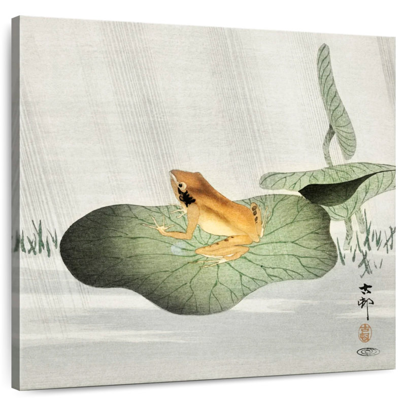 Brampt Frog On Lotus Leaf