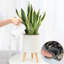 Wood Plant Pot