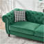 Canapé en tissu d'ameublement en velours de 67 po avec accoudoirs roulés et têtes de clous Chesterfield 67 po, canapé rembourré de style Mid-Century, canapé 2 places pour salon, bureau, appartement, vert-1391388598-1391388599