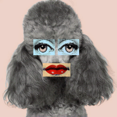 Poodle Lips Print by Jeffrey Goodman