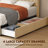 Jeilyn Upholstered Platform Drawer Storage Bed-715103002-719713665