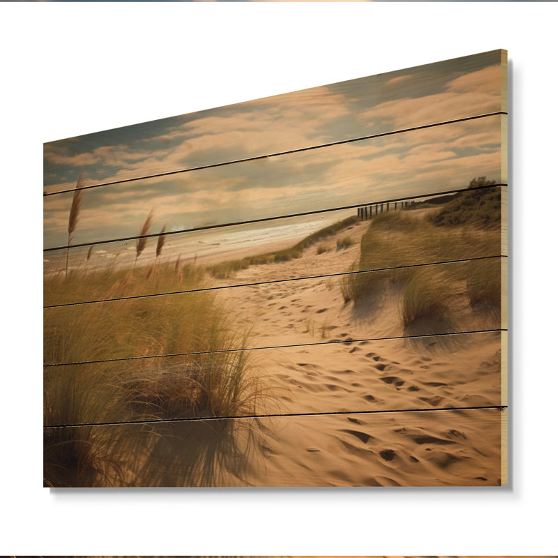 Schwenzer " Beach Sands Wonder ", 10" H x 20" W x 0.78" D