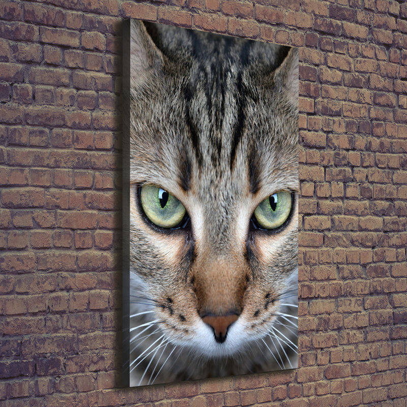 Cat'S Eyes 1 Piece Wrapped Canvas Wall Art