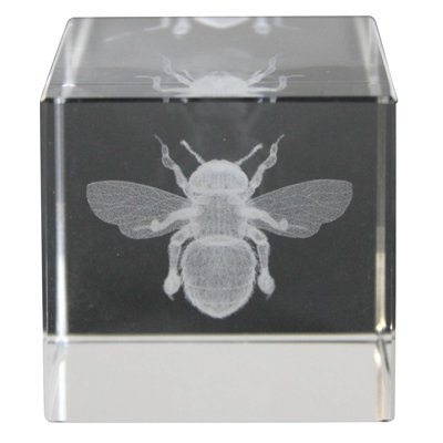 Hologramme en verre d'abeille
