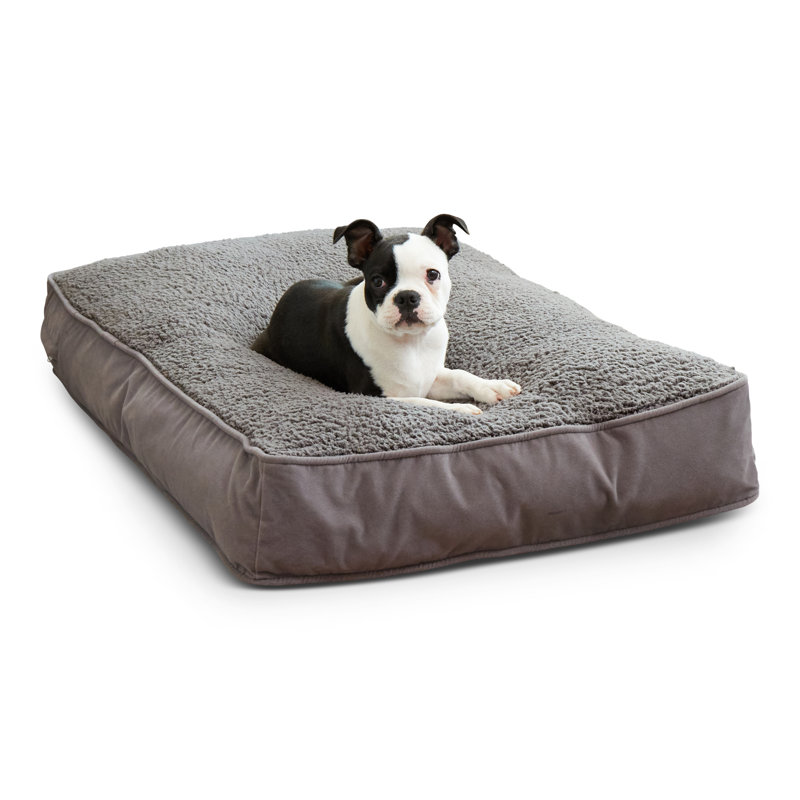 Lit pour chien Olivarez Classic, Petit (L 36 po x l 24 po x H 5 po), Gris