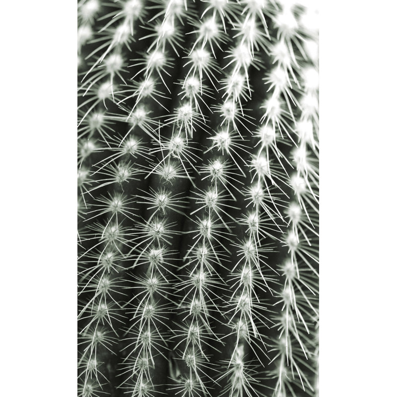 Silver Spikes Grand 1 - photographie non encadrée sur acrylique