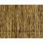 Flatweave Cotton Area Rug in Rust