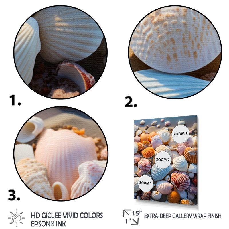 «Beach Photo Sunlit Shells II», reproduction sur toile, L 12 po x H 20 po, Toile tendue