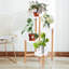 Thatcham Solid Wood Plant Stand 4 Tier
