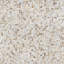 Conchella Square Natural 12" x 12" Natural Shell Mosaic Tile