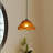 1-Light Pendant Light Flower Hemp Rope