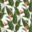 Birds of Paradise - White Wallpaper