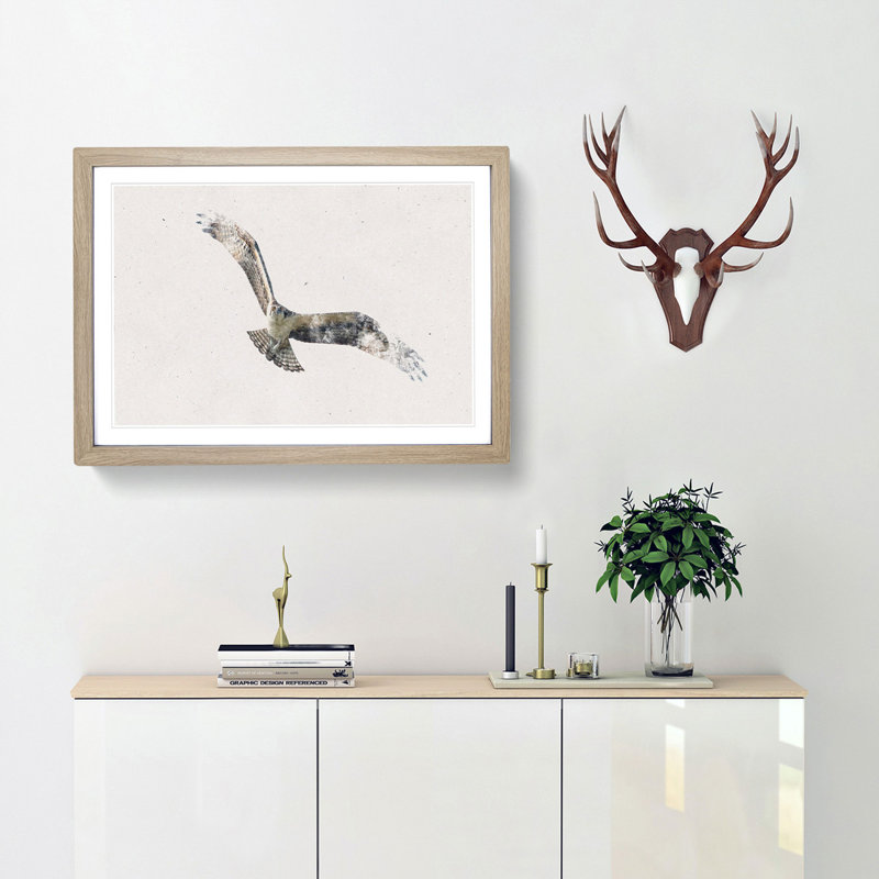 Osprey Bird - Framed Print, 45cm H x 63cm W x 2cm D, Oak Framed