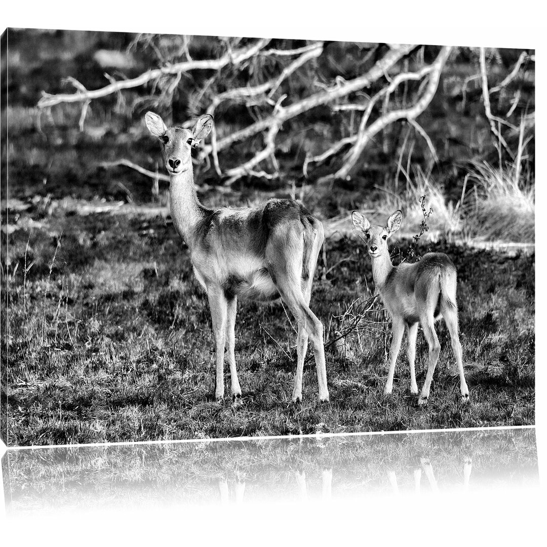 Leinwandbild Weibliche Gazelle mit Jungtier in Monochrom