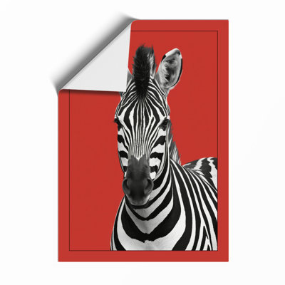 Zebra Bold Modern - Framed Print