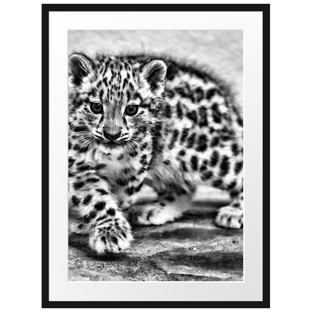 Gerahmter Fotodruck Proud Leopard Cub