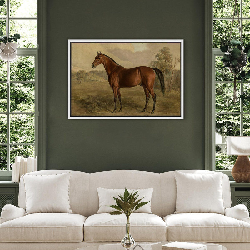 Portrait équestre d'un cheval châtaignier, illustrations équines classiques, campagne française rustique, Blanc