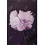 Art floral sur toile