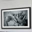 Judy Stalus - Single Picture Frame Print-20708689