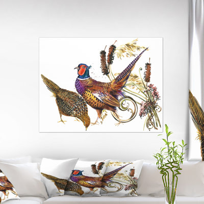 " Bird Pheasant Illustration "