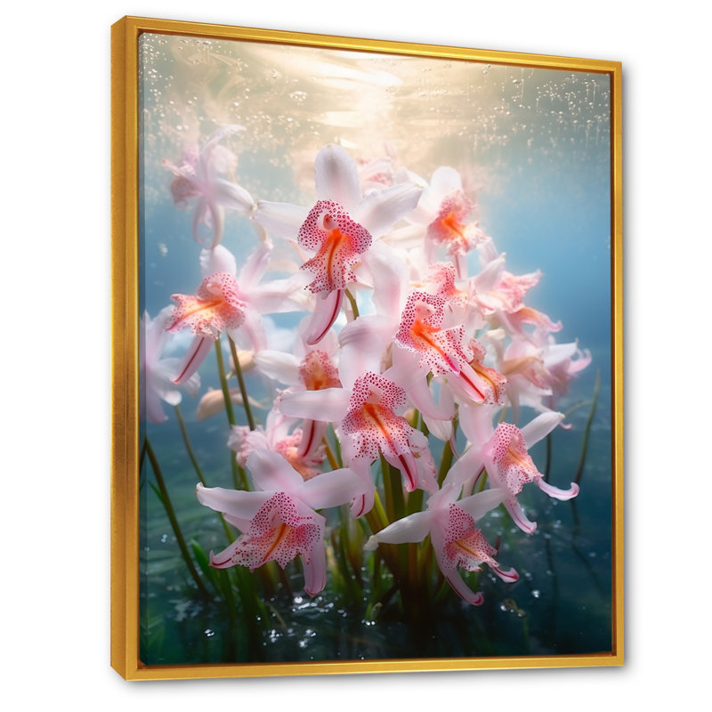 Visage de singe orchidée en fleur dans la mer, Cadre flottant doré, H 32 po x l 16 po x P 1 po