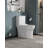1.1/1.6 GPF Elongated Comfort Height Floor Mounted One-Piece Toilet, CUPC Certified, Watersense Cetified, Ceramic, White Color, Soft Close Seat
