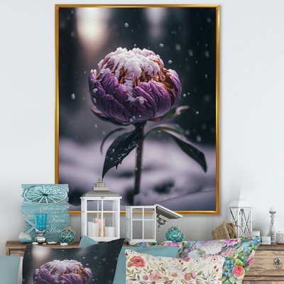 " A Blooming Puple Peony Flower In Winter III "